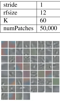 Table 3.2: Parameter conﬁguration for feature learning. stride - step size between two adjacentsub-patches, rfsize - receptive ﬁeld size, K - number of centroids, numPatches - number ofsub-patches extracted for training.