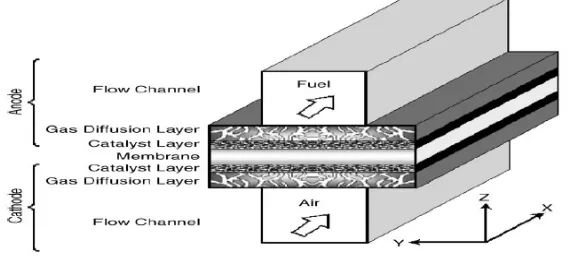 Figure 1.  Computational domain of proton exchange membrane fuel cell model. 