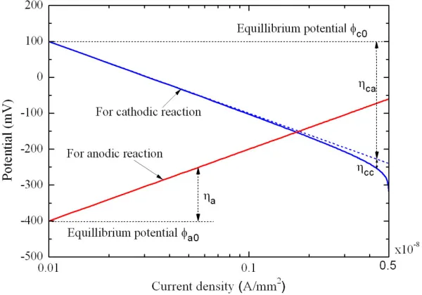 Figure 1. Potential-current density relations for anodic and cathodic reactions. 