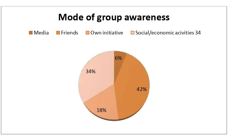 Figure 4.3 Mode of group awareness. 