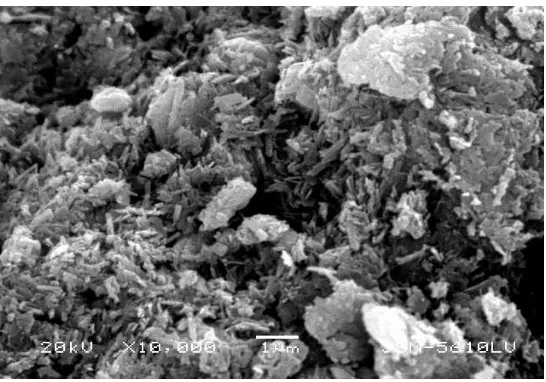 Figure 6b.  SEM photographs of reduced vanadium dioxide nanomaterials from V2O5 xerogel using 1.0 M (PVP+PVA) as a surfactant