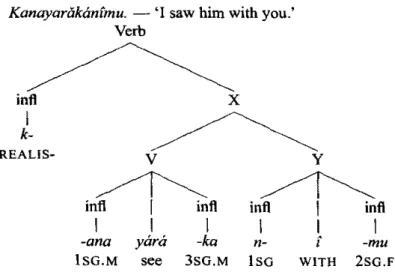 Figure 7.3 Apparent structure. Source: Donohue (2003: 131)
