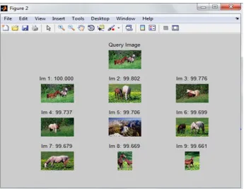 Figure (5):  Horse query image with its retrieved images using wavelet color histogram