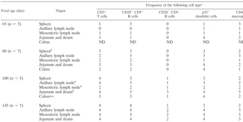 TABLE 1. Timing of appearance of T cells, B cells, and APCs in spleen, axillary and mesenteric lymph nodes, jejunum and ileum,and colon of the fetal rhesus monkey