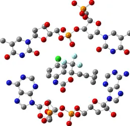 Figure 5. Optimized structures of EFZ with different DNA double base pairs  