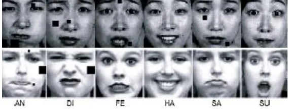 Fig 8 Six Basic Emotions from JAFEE & CK databases 