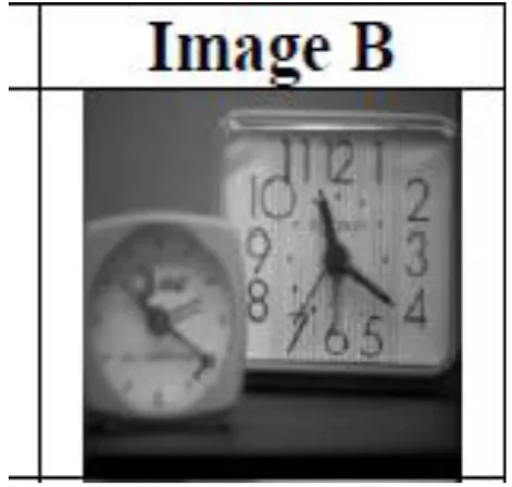 Fig 3: Image a and Image b  Are input images  