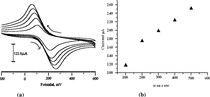 Figure 4(a,b). a)Cyclic voltammograms of 1X10-3 M DA at the poly TA  modified CPE at different scan  rates (  100,  200,  300,400,500 mV/s-1) in 0.2 M phosphate buffer solution pH 7.0; b) The plot of the anodic peak current versus scan rate