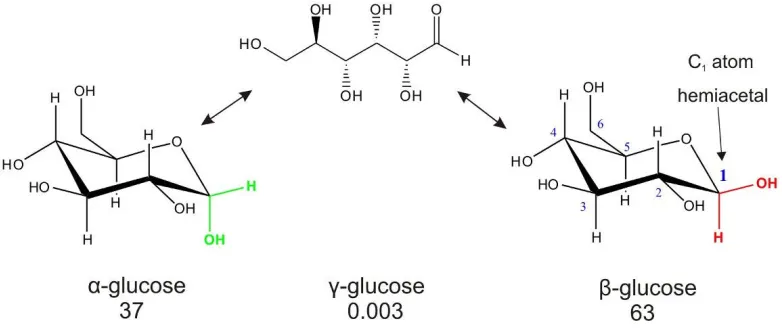 Figure 2. The interconversion of glucose anomers (α, β and γ) and their relative ratio at pH 7