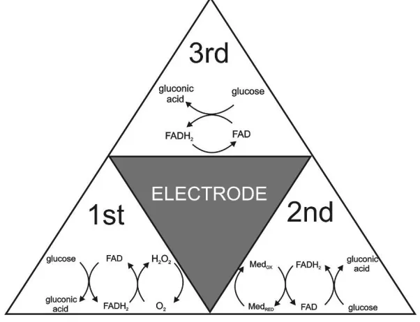 Figure 1. Summary of enzymatic glucose oxidation mechanisms, presented as first, second and third 