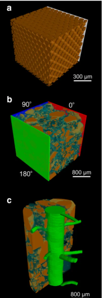 Fig. 7 (Color figure online) Schematic of different geometries for parameterising hair growth paths