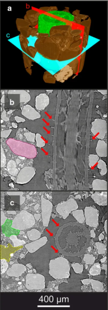 Fig. 1 (Color figure online) a Three-dimensional