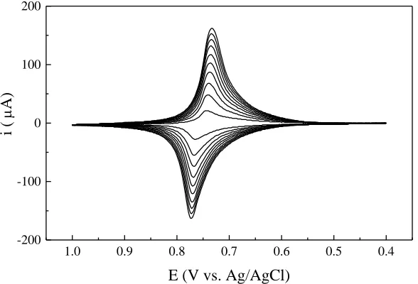 Figure 2. Cyclic voltammograms obtained during the formation of CuHCFe over the surface of the glassy carbon electrode
