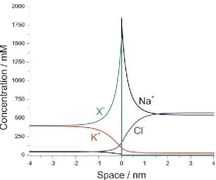 Figure 2. Concentration profiles of all species at t ≈ 70 μs. 