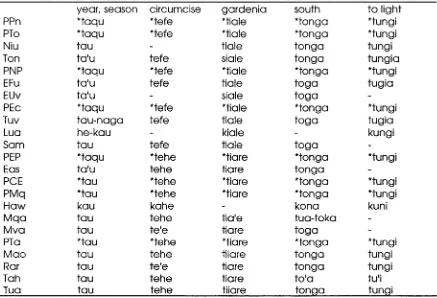 TABLE 2.8: POSSIBLE IRREGULARITIES OF PN *T FROM THE SEVEN LANGUAGES