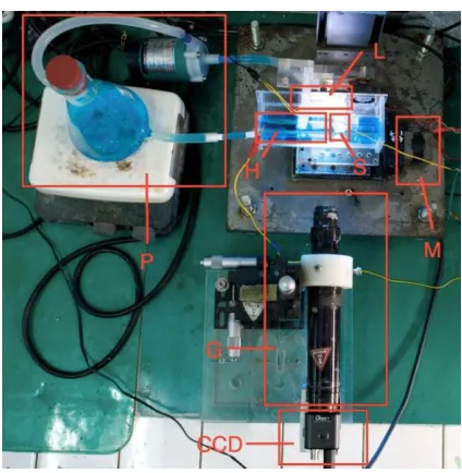Figure 1. Equipment of real time image-guided electroplating system. 