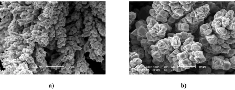 Figure 11. SEM photomicrographs of copper powder particles obtained by reversing currents
