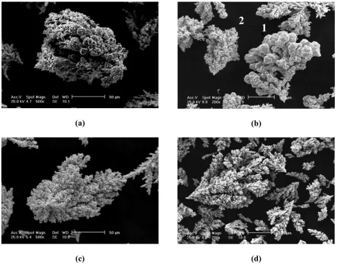 Figure 2. SEM photomicrographs of copper powder particles deposited at constant current density; a)j=7.71 Adm-2; b) j=10.28 Adm-2; c) j=30 Adm-2; d) j=36 Adm-2 
