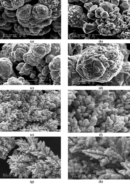 Figure 3. Surface morphology of copper powder particles; (a,b) j=7.71 Adm-2; (c,d) j=10.28 Adm-2; (e,f) j=30 Adm-2; (g,h) j=36 Adm-2 