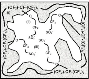 Figure 1. Structural model of Nafion membrane [5]. 