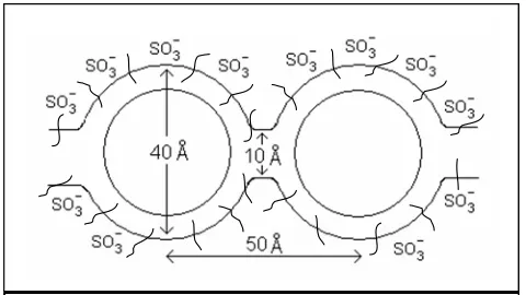 Figure 2. Cluster-Network model for the morphology of hydrated Nafion [3]. 