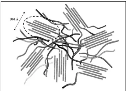 Figure 3. Schematic representation of an entangled network of elongated rodlike aggregates in Nafion [3]