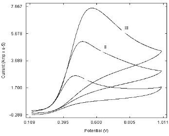 Figure 2. Cyclic voltammograms of different ascorbic acid concentrations. I = 1mM; II = 3 mM and III = 5 mM ascorbic acid in 0.1 M  phosphate buffer pH 2.0  