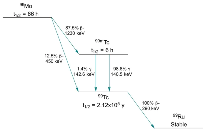 Figure 1.5: Radioactive decay scheme of 99Mo to the stable isotope 99Ru. 
