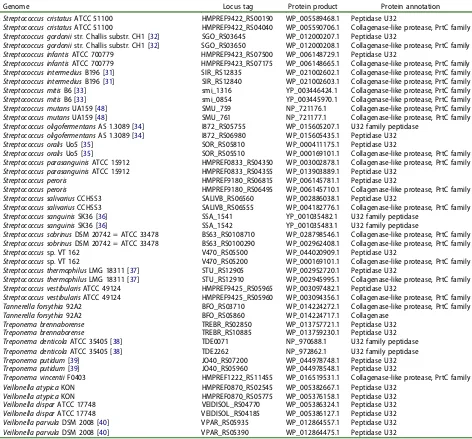 Figure 1. Bacterial collagenolytic proteases present in samples from sound root surfaces (SRS) and root caries (RC)