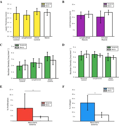 Fig. 5. Histology results comparing surgical and naïve groups. Asterisks indicate p-values less than 0.05 with specific values given in subcaptions