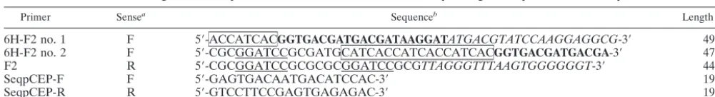 TABLE 1. Oligonucleotide primers used for the construction and sequencing of the pCEP5-6H-ORF2 plasmid
