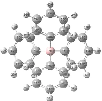Figure 2. The full optimized structure of L1 