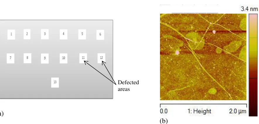 Fig. 4. (a) An illustration of the defected areas in the samples (b) AFM image of ion irradiated graphene.