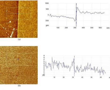 Fig. 9. (a) Height image of defect-free (left) and defective (right) (Area 13) SiO2. The irradiated area expanded