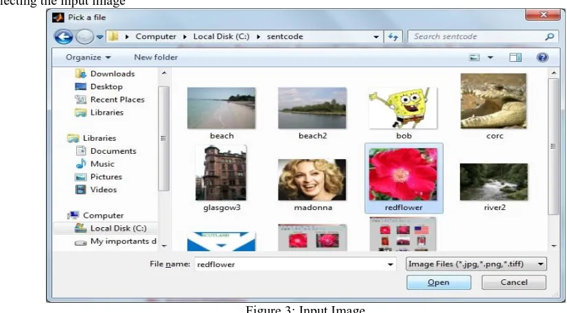 Figure 3: Input Image Figure 3 shows the window of input image, user Browse input image from this window