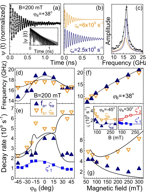 FIG. 2. (a) Experimental signal (symbols) measured in the PSV