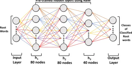 Figure 2: Deep Neural Network for C1