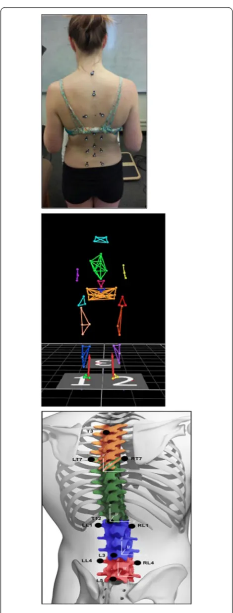 Fig. 1 Lumbar spine marker set and model. a. Marker Placement ona participant. b. Computer Model as shown in the data collectionsoftware program