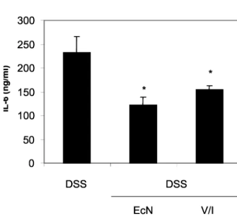 FIG. 3. Clinical score of CD4�treated with EcN in comparison to the results seen with the controlgroup injected i.p