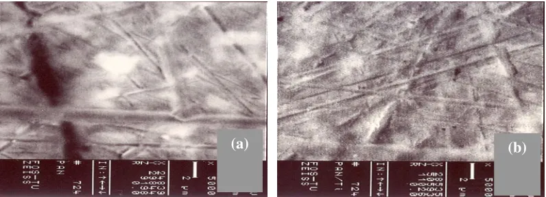 Figure 5.(a).  