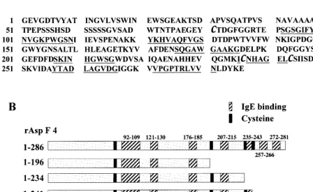 FIG. 1. (A) Deduced amino acid sequence of the allergen Asp f 4. (B) Schematic representation of Asp f 4 and three different cDNA constructsof Asp f 4 showing the seven IgE antibody binding linear regions and four cysteines at positions 81, 198, 236, and 243.