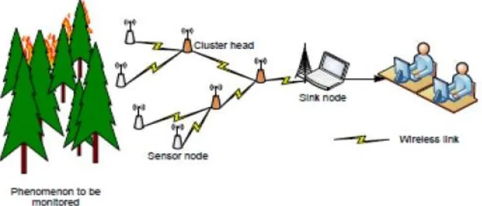 Fig 1. Architecture of Wireless Sensor Network  