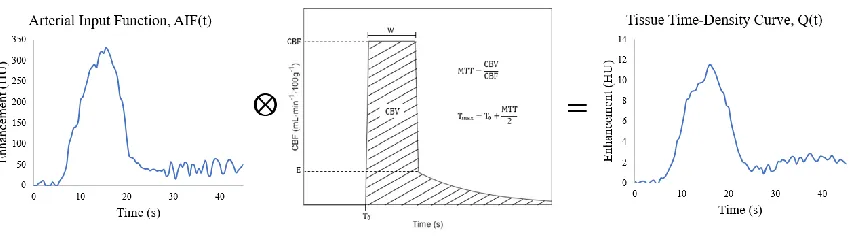 Figure 1.2: Graphical representation of CTP deconvolution equation 