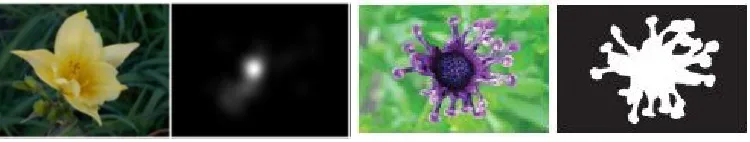 Figure 1.2: Examples of salient ﬁxation map and salient object segmentation. Left image from[27], right image from [39].