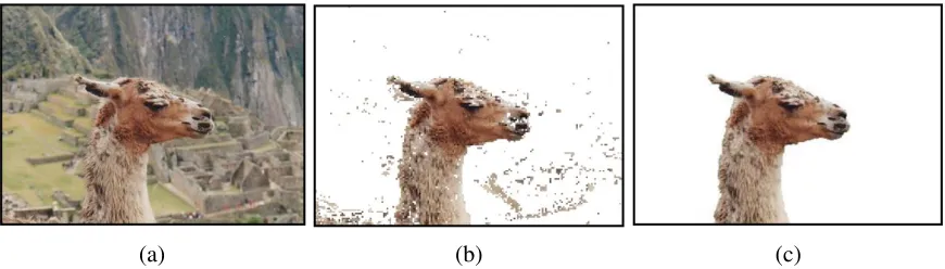 Figure 2.9: A Graph Cut segmentation example. (a) input image, (b) segmentation with dataterm only, (c) segmentation with data term and smoothness regularization