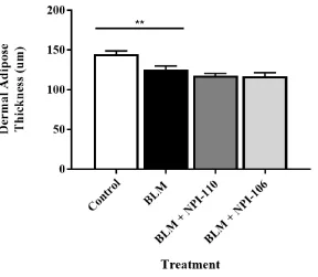 Figure 9. Peptide NPI-110 and NPI-106 treatment does not ameliorate the detectable loss of dermal adipose tissue