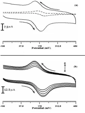 Figure 4. (a) Cyclic voltammograms for the oxidation of 0.1 mM DA obtained at the poly (alanine) MCPE (solid line curve) and bare CPE (dashed line curve) Scan rate 50 mV/s, 0.2 M ABS (pH