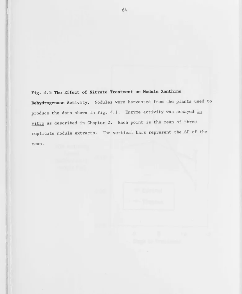 Fig. 4.5 The Effect of Nitrate Treatment on Nodule Xanthine 