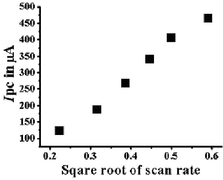 Figure 4.  Plot showing diffusion controlled reaction, dependence of peak current ipa on square root of scan rate