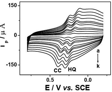 Figure 3. CVs for the binary mixtures of 0.1 mM HQ and 0.1 mM CC in 0.1 M ABS (pH 4.5) at the Glu modified electrode at different scan rates: (a) 20 mV sp--1; (b) 50 mV s-1; (c) 80 mV s-1; (d) 100 mV s-1; (e) 150 mV s-1; (f) 200 mV s-1; (g) 250 mV s-1; (h)